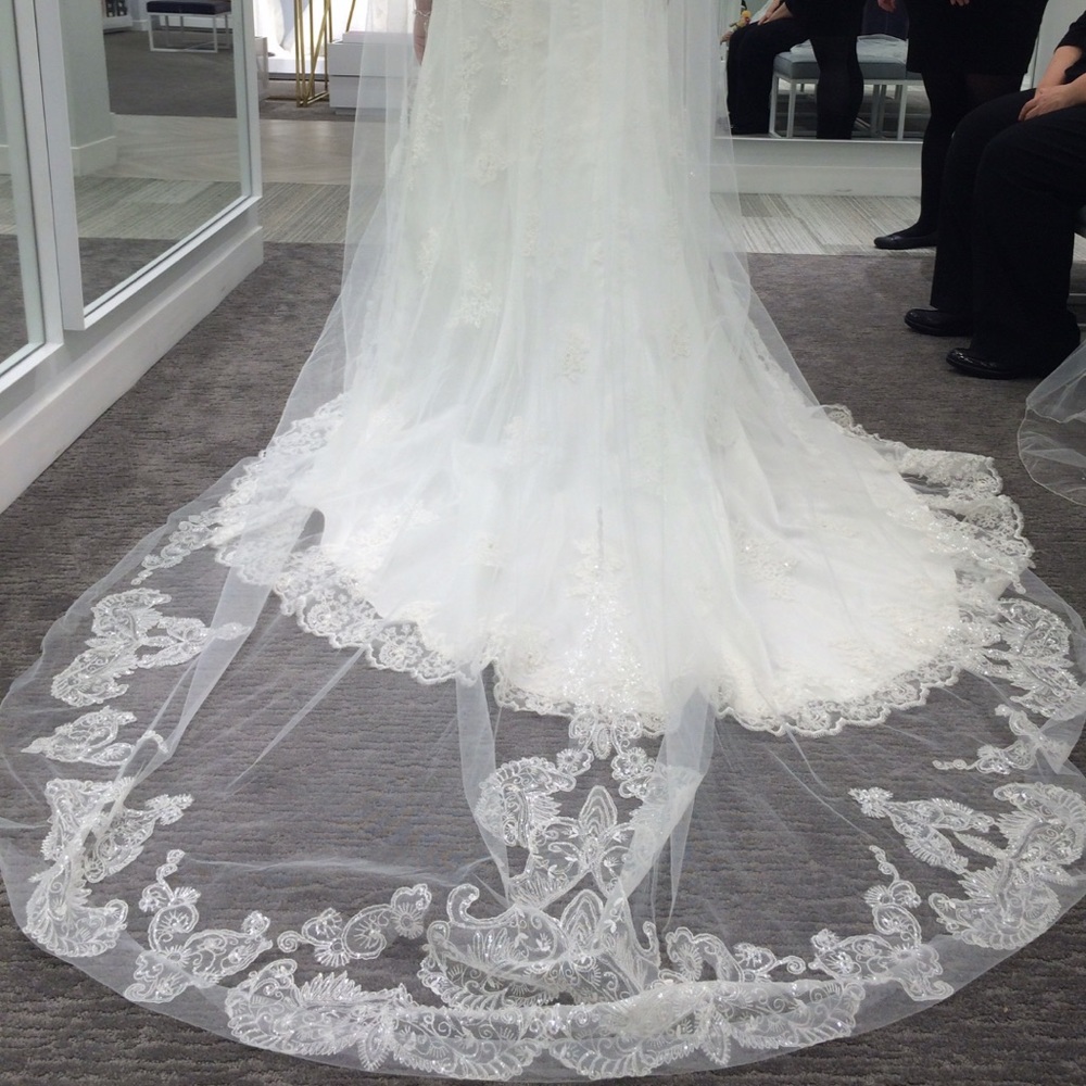 Wedding Gown, Tiara, And veil.. the whole package - Picture 8 of 8